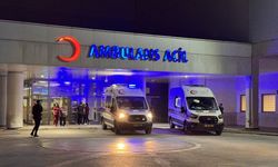 Kayseri'de kayınbaba ile damat arasında çıkan kanlı bitti