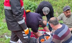 Sivas'ta mantar toplarken ayı saldırısına uğradı