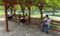 Adana'da termometreler 35 dereceyi gördü