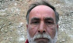 Arı sokması sonucu hayatını kaybetti