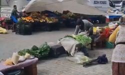 Artvin'de fırtına hayatı felç etti