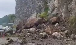 Artvin'de heyelan: 1 TIR zarar gördü