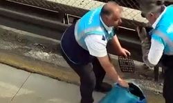 Avcılar’da Bariyerlere Sıkışan Kedi Kurtarıldı