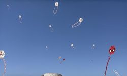 Bodrum'da uçurtma festivali