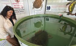 DEKAMER’den Tatilcilere Caretta Caretta Uyarısı