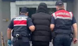 Evinde kenevir yetiştiren şüpheli yakalandı