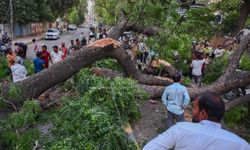 Hindistan'da sırtına nedeniyle 111 kişi yaşamını yitirdi