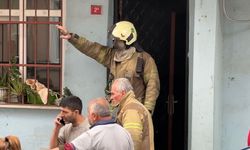 Kağıthane'de Yanan Evden Yavru Kedi Kurtarıldı