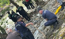 Kayıp kadının cansız bedenine ulaşıldı