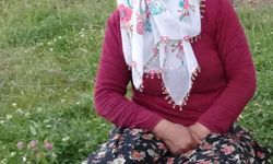 Muş'ta dereye düşerek kaybolan kadın aranıyor
