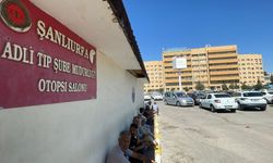 Şanlıurfa'da devrilen traktörün sürücüsü hayatını kaybetti