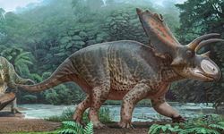 Tayland'da yeni bir dinozor türüne ait olan kalıntılar bulundu