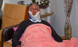Tur şoförünü yumruklayan Litvanyalı boksör gözaltına alındı