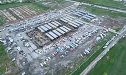Türkiye'nin En Büyük Canlı Hayvan Pazarında Kurban Bayramı Telaşı