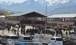 Van'da Hayvan Pazarında Ölümlü Kavga