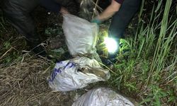 Van’da kaçak avcılara operasyon: 1 ton ölü inci kefali ele geçirildi