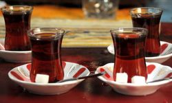 CHP’li Gürer’den Yaş Çay Fiyatına Sert Tepki: “35 Lira Üreticiyi Hüsrana Uğrattı”