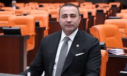 “Partimizin ve delegelerimizin iradesine sahip çıkıyoruz”