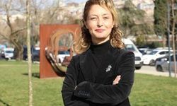 İBB iştiraki Ağaç ve Peyzaj A.Ş.'ye yönelik operasyon