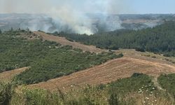 Araçta çıkan yangın ormanlık alana sıçradı