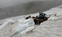 Artvin’de haziranda karla mücadele sürüyor