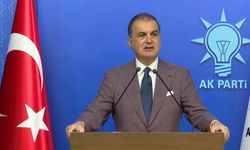 AK Parti'li Çelik'ten Terörsüz Türkiye açıklaması