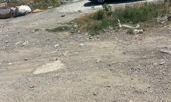 Akraba kavgasında silahlar konuştu