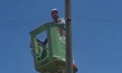 Amasya'da bir kedi elektrik direğinde mahsur kaldı