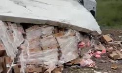 Amasya'da TIR şarampole devrildi!