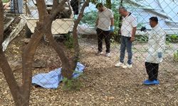 Antalya'da bahçede ölü bulundu