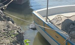 Asi Nehri'nde erkeğe ait cansız beden bulundu