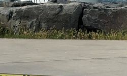 Avcılar'da denizde bir kadına ait cansız beden bulundu