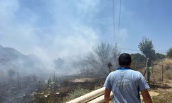 Bodrum'da maki yangını: 1 dekar alan zarar gördü