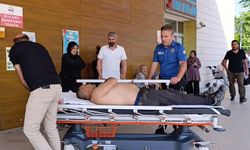 Bursa’da kiraz toplamak için çıktığı ağaçtan düştü