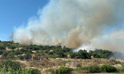 Çanakkale'de bozuk ormanda yangın çıktı
