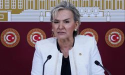 CHP'de istifalar art arda geliyor: Nimet Özdemir istifa etti