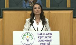DEM Parti'den 'Terörsüz Türkiye' süreci için çerçeve yasa çağrısı