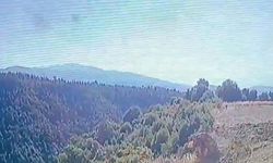 Devrilen traktörün altında kalarak yaşamını yitirdi