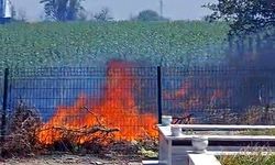 Edirne'deki anız yangınında 500 dekar tarım arazisi zarar gördü
