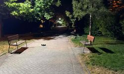 Eskişehir'de arkadaşlar arasında kavga