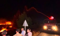 Hatay'da anız yangını, zeytin bahçelerine sıçradı