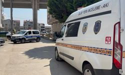 Husumetli kardeşler birbirini bıçakladı