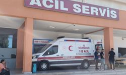 Iğdır'da Otomobil ile Minibüs Çarpıştı