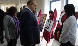 İrem, Chicago Sanat Enstitüsü'nden Kabul Aldı