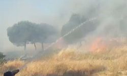 Kağıthane'de otluk alandaki yangın söndürüldü