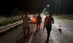 Karabük'te otomobilin çarptığı bozayı çaya düştü