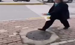 Karamürsel’de kediye yağ çözücü sıkma davasında iki sanığa beraat