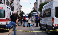 Kırklareli'de minibüsün çarptığı kadın can verdi