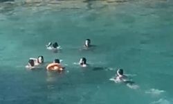Mersin'de Deniz Ortasında Sopalı Kavga