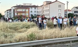 Otomobilin çarptığı Rabia, öldü